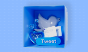 Developing a Twitter Marketing Strategy