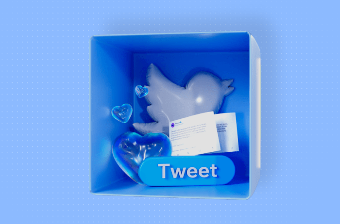 Developing a Twitter Marketing Strategy