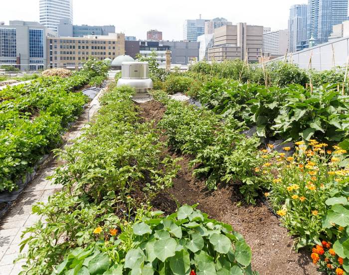 Urban gardening